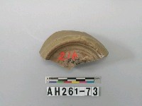 藏品(龍泉青瓷片)的圖片